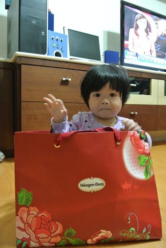 【中壢】哈根達斯冰淇淋月餅 - 第15張圖 【中壢】哈根達斯冰淇淋月餅