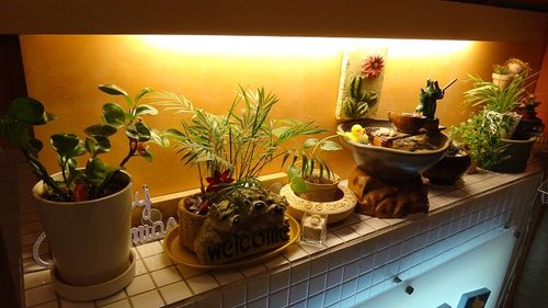 【中原】原味橘子 - 第8張圖 【中原】原味橘子