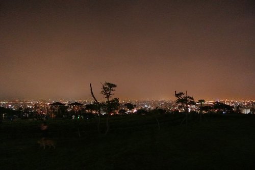 【桃園】虎頭山環保公園 - 第16張圖 【桃園】虎頭山環保公園