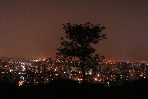 【桃園】虎頭山環保公園 - 第23張圖 【桃園】虎頭山環保公園