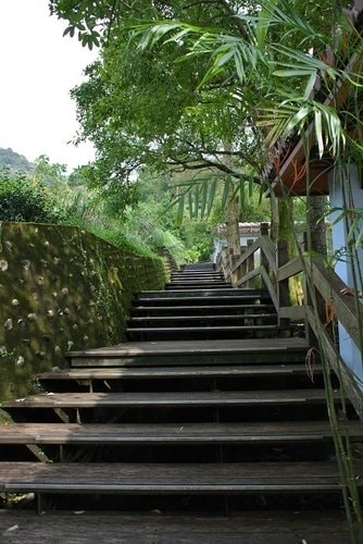 【坪林】茶葉博物館 - 第4張圖 【坪林】茶葉博物館