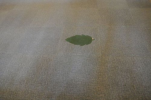 【坪林】茶葉博物館 - 第19張圖 【坪林】茶葉博物館