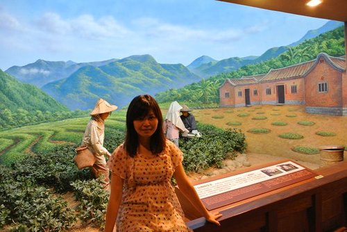 【坪林】茶葉博物館 - 第24張圖 【坪林】茶葉博物館