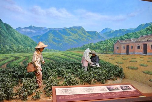 【坪林】茶葉博物館 - 第23張圖 【坪林】茶葉博物館