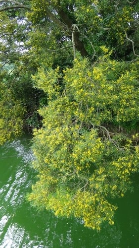 【新竹】寶山水庫環湖 - 第7張圖 【新竹】寶山水庫環湖