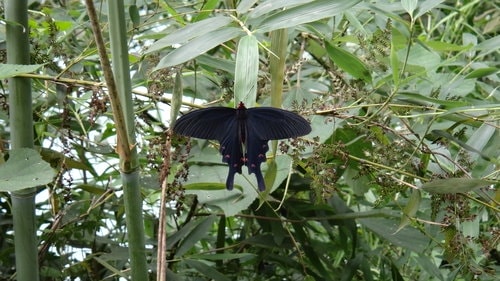 【新竹】寶山水庫環湖 - 第14張圖 【新竹】寶山水庫環湖