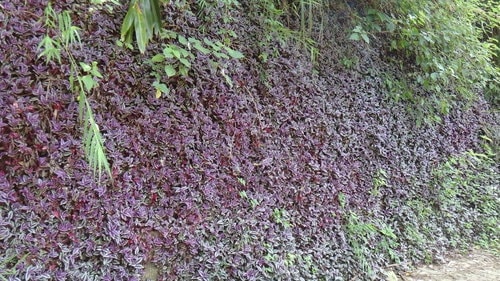 【新竹】寶山水庫環湖 - 第18張圖 【新竹】寶山水庫環湖