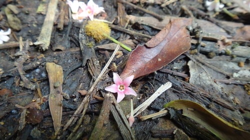 【新竹】寶山水庫環湖 - 第15張圖 【新竹】寶山水庫環湖