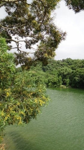 【新竹】寶山水庫環湖 - 第22張圖 【新竹】寶山水庫環湖