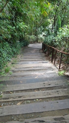 【新竹】沙湖壢咖啡館 - 第6張圖