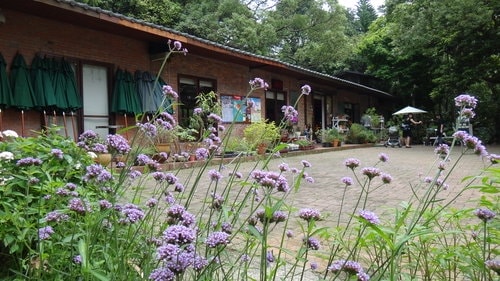 【新竹】沙湖壢咖啡館 - 第25張圖