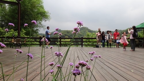 【新竹】沙湖壢咖啡館 - 第26張圖