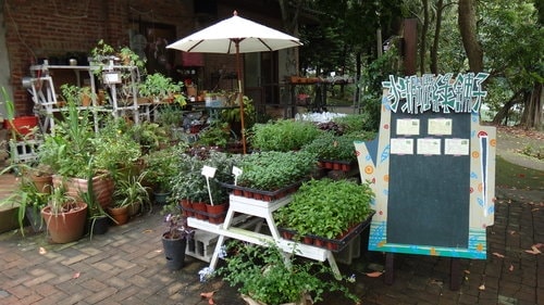 【新竹】沙湖壢咖啡館 - 第30張圖