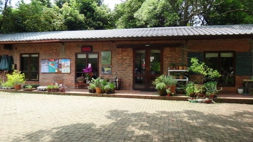 【新竹】沙湖壢咖啡館 - 第50張圖