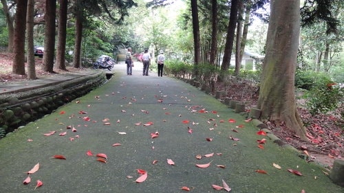 【新竹】沙湖壢咖啡館 - 第52張圖