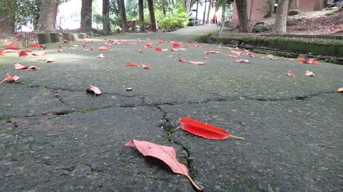 【新竹】沙湖壢咖啡館 - 第53張圖