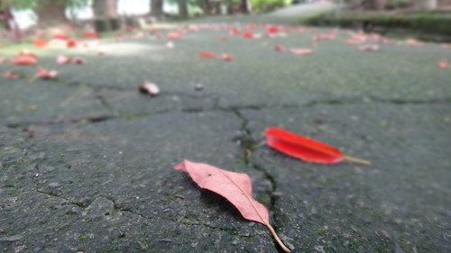 【新竹】沙湖壢咖啡館 - 第54張圖