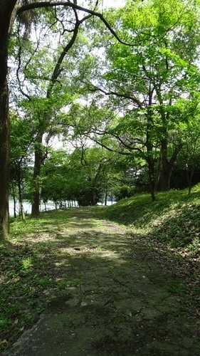 【新竹】沙湖壢咖啡館 - 第59張圖