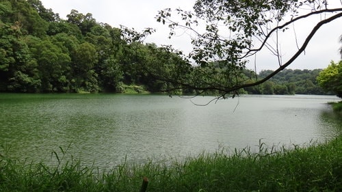 【新竹】沙湖壢咖啡館 - 第61張圖