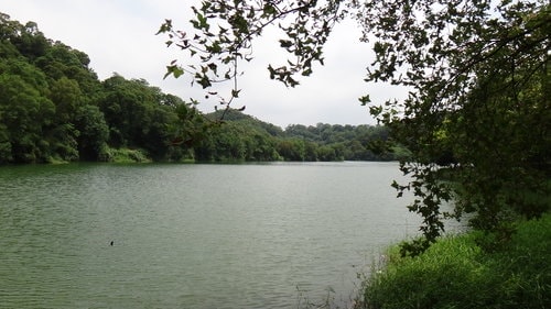 【新竹】沙湖壢咖啡館 - 第60張圖