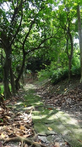 【新竹】沙湖壢咖啡館 - 第62張圖