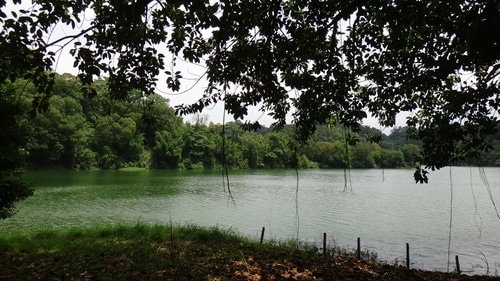 【新竹】沙湖壢咖啡館 - 第63張圖