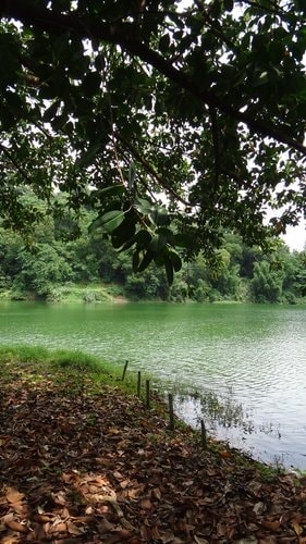 【新竹】沙湖壢咖啡館 - 第64張圖