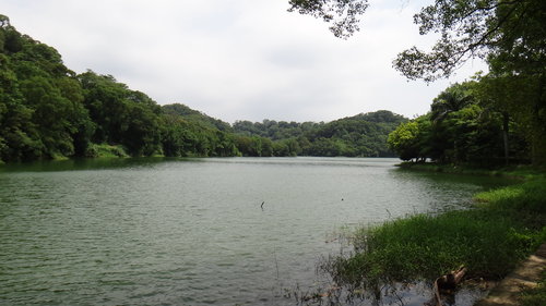 【新竹】沙湖壢咖啡館 - 第65張圖