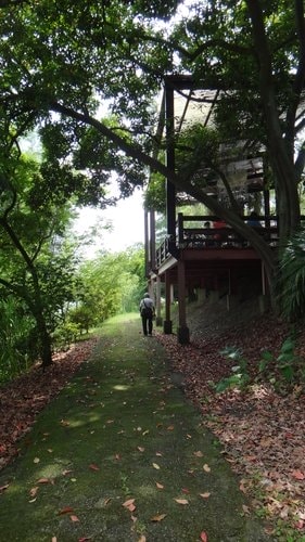 【新竹】沙湖壢咖啡館 - 第67張圖