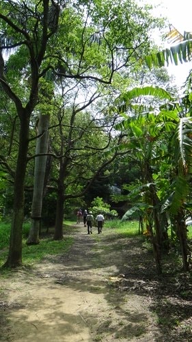 【新竹】沙湖壢咖啡館 - 第66張圖