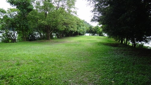 【新竹】沙湖壢咖啡館 - 第74張圖