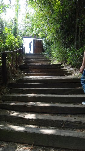 【新竹】沙湖壢咖啡館 - 第80張圖