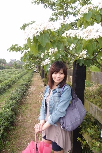 【龍潭】龍潭三元宮賞桐花 - 第31張圖 【龍潭】龍潭三元宮賞桐花