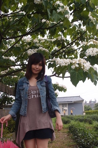 【龍潭】龍潭三元宮賞桐花 - 第33張圖 【龍潭】龍潭三元宮賞桐花