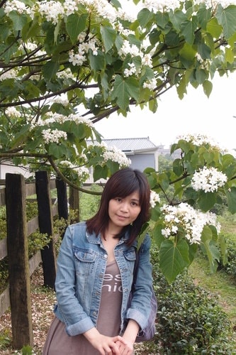 【龍潭】龍潭三元宮賞桐花 - 第34張圖 【龍潭】龍潭三元宮賞桐花