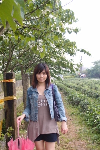 【龍潭】龍潭三元宮賞桐花 - 第43張圖 【龍潭】龍潭三元宮賞桐花