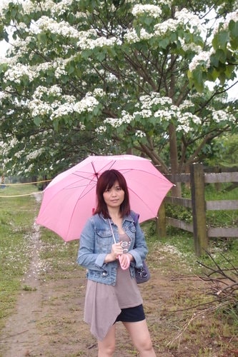 【龍潭】龍潭三元宮賞桐花 - 第44張圖 【龍潭】龍潭三元宮賞桐花