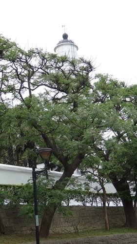 【中壢】原燒─老媽慶生 - 第50張圖 【中壢】原燒─老媽慶生