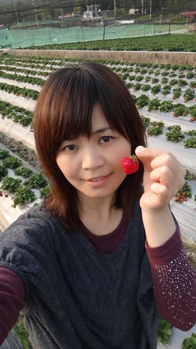 【關西】高橋果園採草莓 - 第10張圖 【關西】高橋果園採草莓