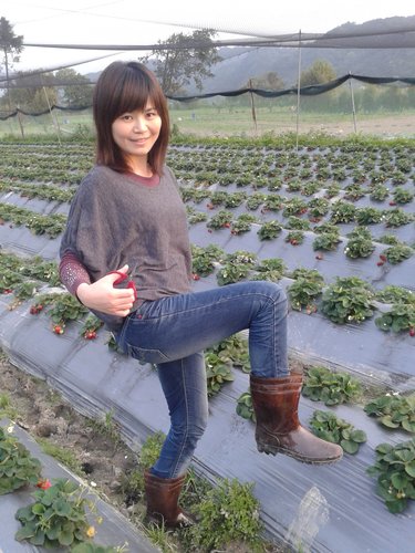 【關西】高橋果園採草莓 - 第19張圖 【關西】高橋果園採草莓