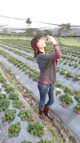 【關西】高橋果園採草莓 - 第24張圖 【關西】高橋果園採草莓