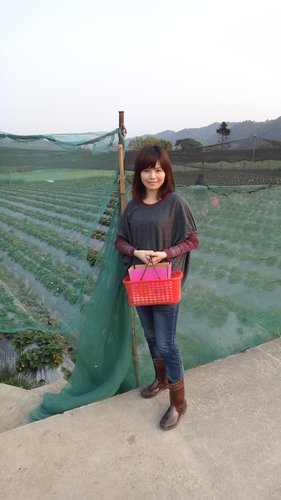 【關西】高橋果園採草莓 - 第39張圖 【關西】高橋果園採草莓