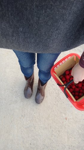 【關西】高橋果園採草莓 - 第45張圖 【關西】高橋果園採草莓