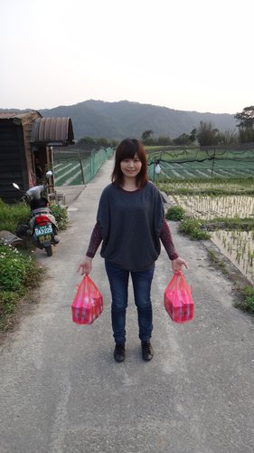 【關西】高橋果園採草莓 - 第49張圖 【關西】高橋果園採草莓