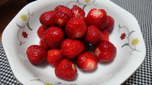 【關西】高橋果園採草莓 - 第52張圖 【關西】高橋果園採草莓