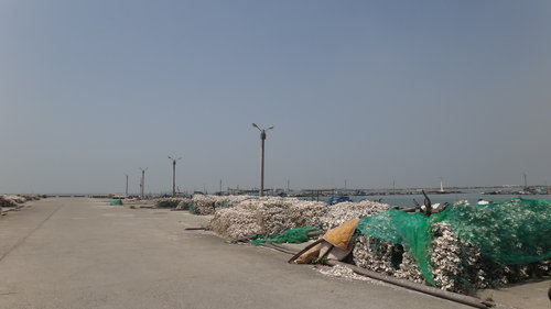 【嘉義】東石港船之旅 - 第3張圖 【嘉義】東石港船之旅