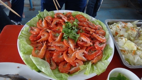 【嘉義】東石港船之旅