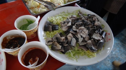 【嘉義】東石港船之旅 - 第16張圖 【嘉義】東石港船之旅