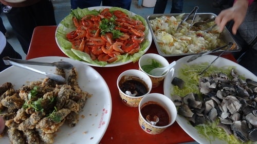 【嘉義】東石港船之旅 - 第19張圖 【嘉義】東石港船之旅