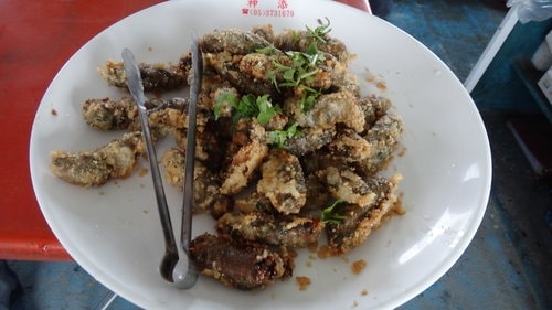 【嘉義】東石港船之旅 - 第18張圖 【嘉義】東石港船之旅